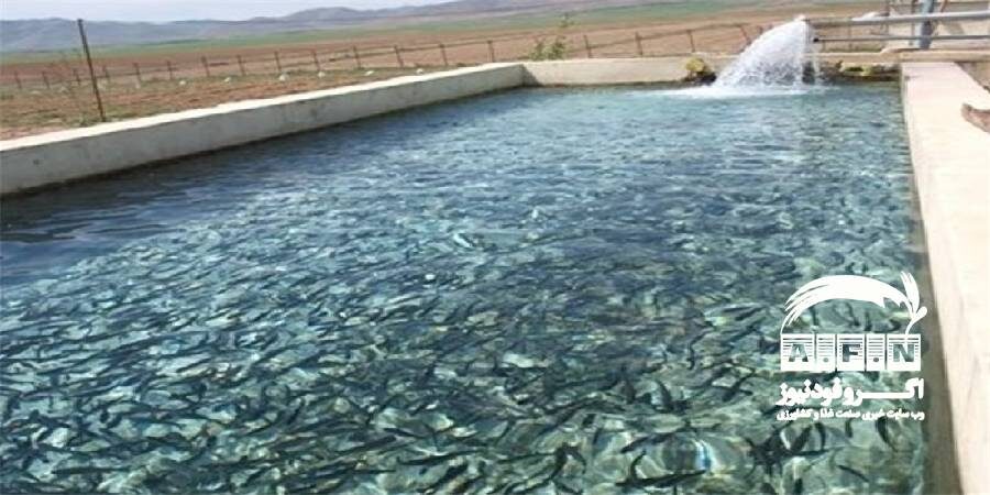 آبزی پروری در حوزه ماهیان آب شیرین دو برابر می شود