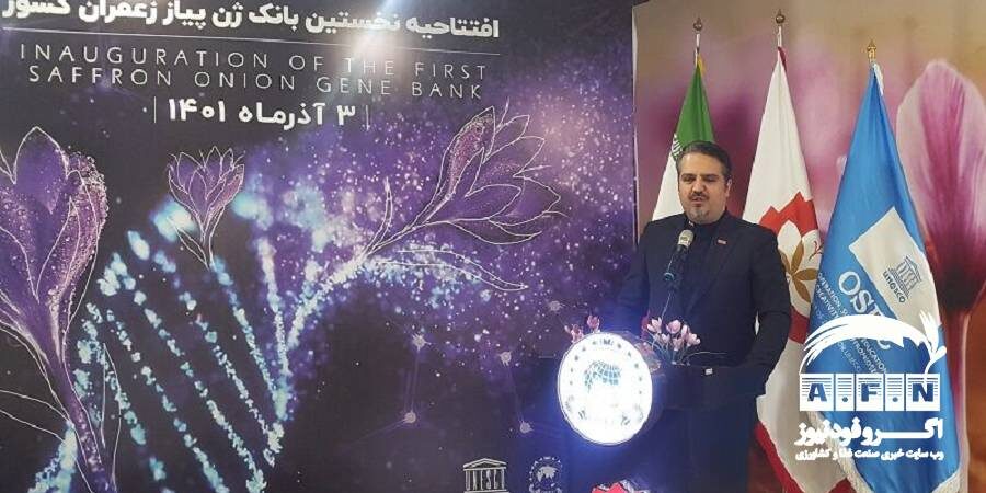 نخستین بانک ژن پیاز زعفران ایران در تربت‌حیدریه افتتاح شد