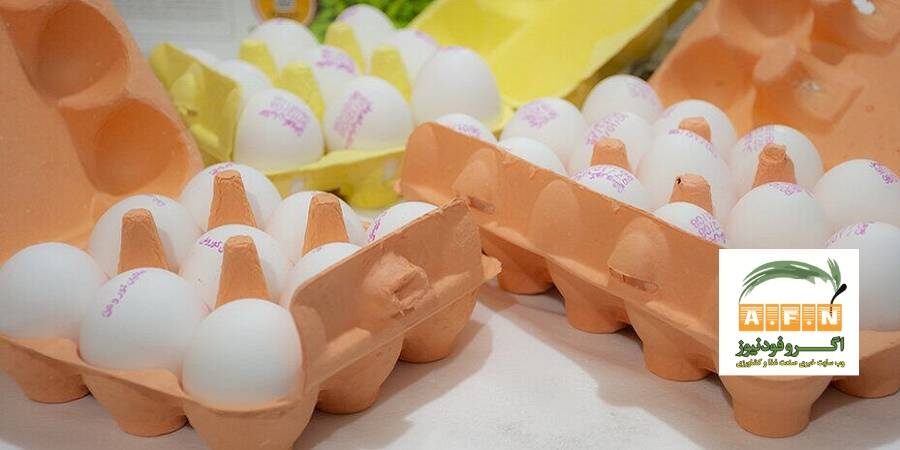 قیمت جدید تخم مرغ بسته بندی شده اعلام شد + سند