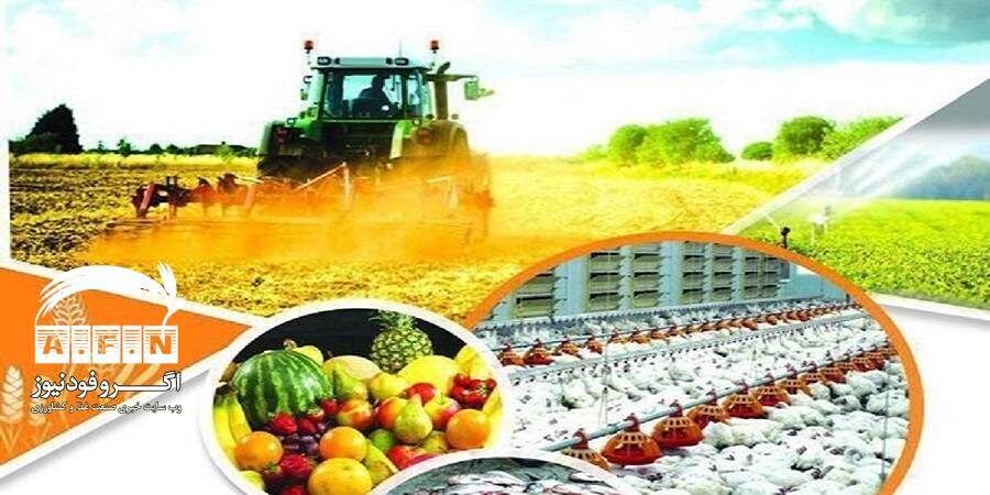 در نشست مشترک کمیسیون کشاورزی و صادرات اتاق ایران مطرح شد؛ پیگیری حذف پیمان‌سپاری ارزی برای صادرات محصولات کشاورزی