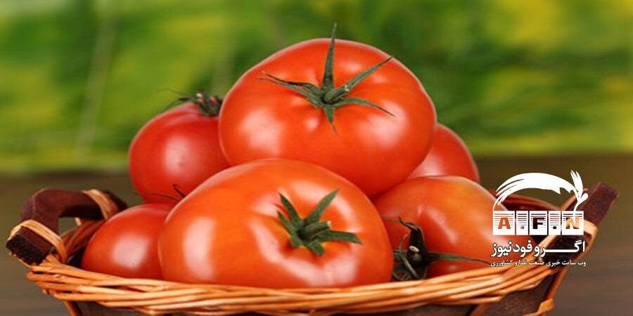 عرضه پرحجم گوجه فرنگی در بازار تا چند روز آینده