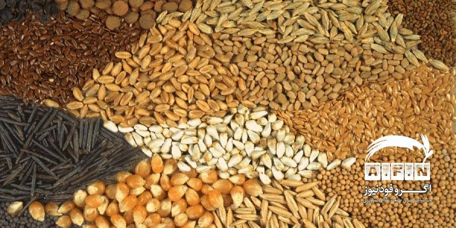 رییس انجمن واردکنندگان بذر اصلاح شده ایران: ۱.۴ میلیارد دلار ارزآوری صیفی‌جات از محل واردات بذر