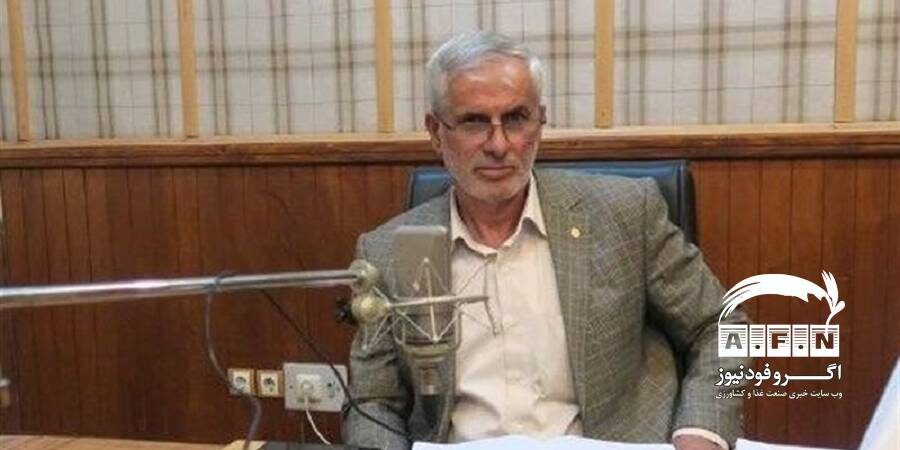 رئیس اتاق اصناف کشاورزی ایران: توجیه اقتصادی تولید گندم از بین رفته/ بسیاری از کشاورزان گندم را به دولت ندادند