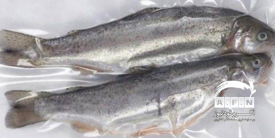 در بازدید هیئت روسی از ایران/ ویلو پروتئین پارس شرکت مورد تائید در صادرات کنسرو ماهی به روسیه