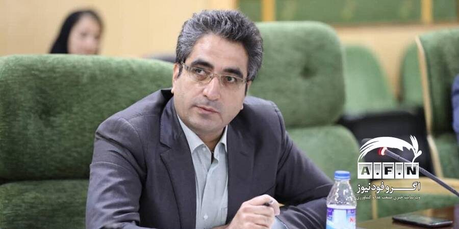 رییس شورای ملی نخود ایران: کارکرد تولید نخود در کشور باید افزایش یابد