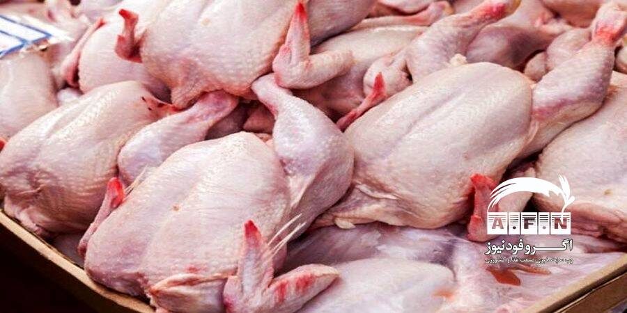 مرغ ۸۳ هزار تومانی مورد تایید نیست/ مرغ گرم برای جبران کمبود وارد شد
