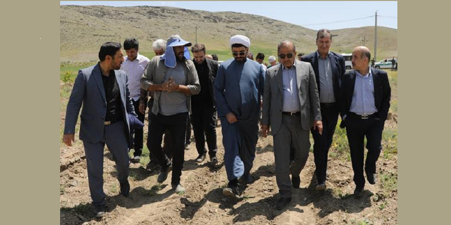 بازدید رئیس کمیسیون کشاورزی مجلس شورای اسلامی از باغات سرمازده شهرستان ملایر