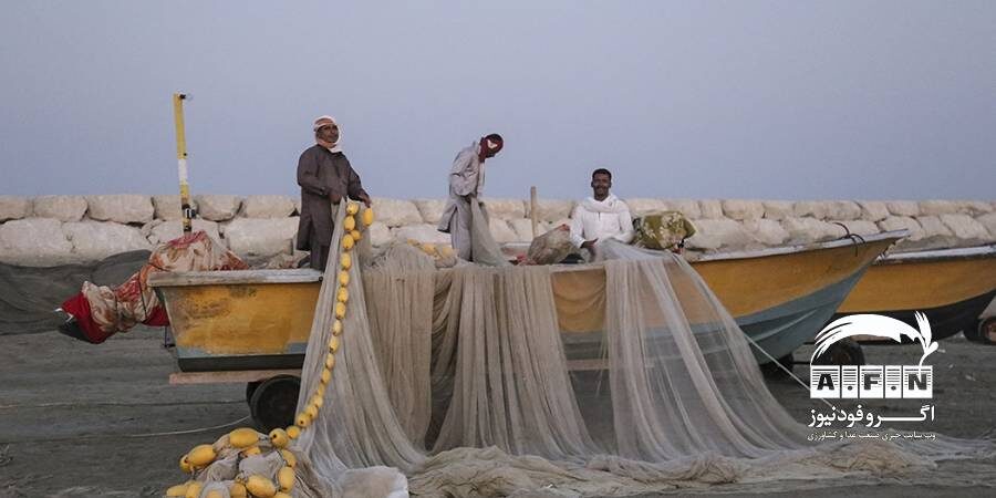 ممنوعیت ۶۰ روزه صید ماهی شیر در صیدگاه‌های خوزستان