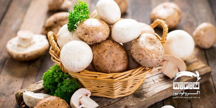 فیبر رژیمی موجود در قارچ به هضم غذا و کاهش وزن کمک می‌کند